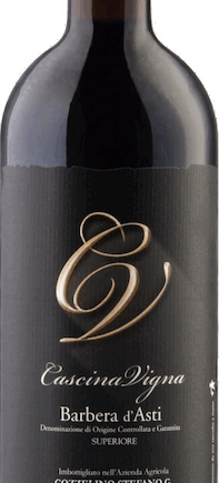 Gozzelino Stefano Barbera d'Asti DOCG 2018 - Italiensk Rødvin