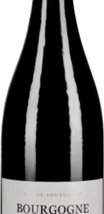 Les Vignerons de Mancey Rødvin 2021 – Udsøgt Festvin!